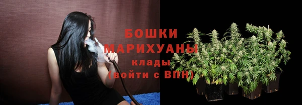 PSILOCYBIN Баксан